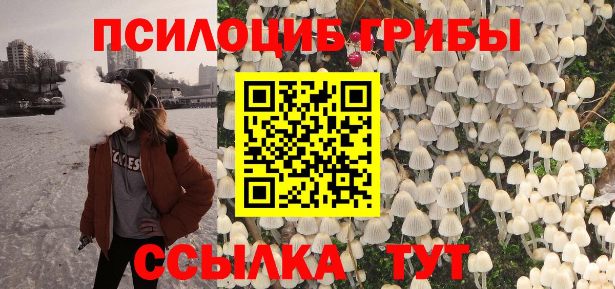 Псилоцибиновые грибы MAGIC MUSHROOMS  Псилоцибиновые грибы MAGIC MUSHROOMS  купить наркотики цена  Вход с VPN  Арзамас 